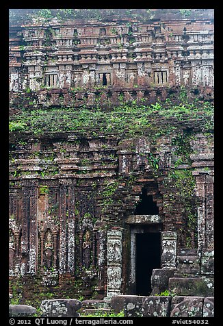 Champa tower taken over by vegetation. My Son, Vietnam