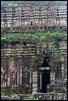 Champa tower taken over by vegetation. My Son, Vietnam ( color)