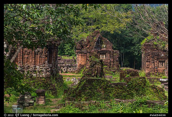 Hindu temple archeological complex. My Son, Vietnam (color)