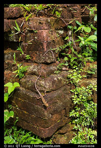Reptile on corner of ruined temple. My Son, Vietnam