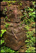 Reptile on corner of ruined temple. My Son, Vietnam ( color)