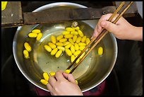 Hands handling silkworm cocoons with chopsticks. Hoi An, Vietnam (color)