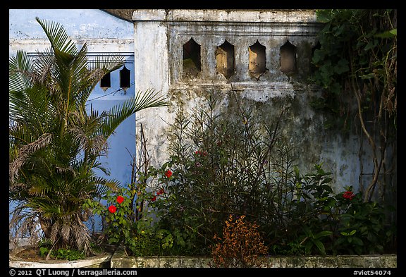 Vegetation and walls detail. Hoi An, Vietnam (color)