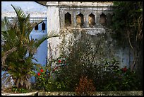 Vegetation and walls detail. Hoi An, Vietnam ( color)