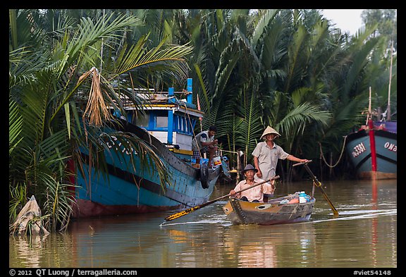 Fishermen row sampan in lush river channel. Hoi An, Vietnam (color)