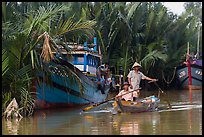 Fishermen row sampan in lush river channel. Hoi An, Vietnam (color)