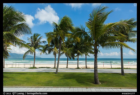 Palm-lined beachfront promenade. Da Nang, Vietnam