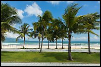 Palm-lined beachfront promenade. Da Nang, Vietnam (color)