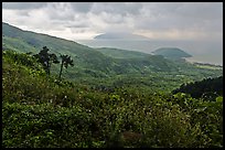 View from Hai Van pass in rainy weather, Bach Ma National Park. Vietnam (color)