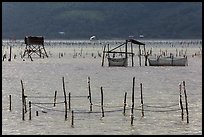 Pilings and fishing nets in lagoon. Vietnam (color)