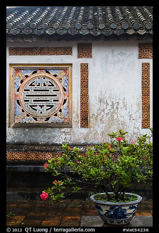 Potted plant and wall with Chinese symbol window, citadel. Hue, Vietnam