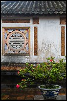 Potted plant and wall with Chinese symbol window, citadel. Hue, Vietnam (color)