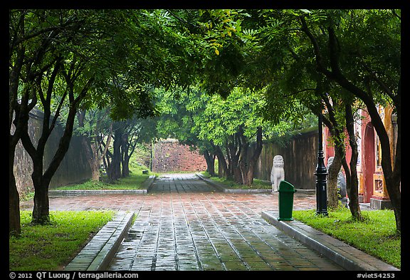 Tree-covered pathway, imperial citadel. Hue, Vietnam (color)