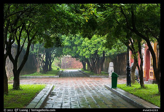 Tree-covered pathway, imperial citadel. Hue, Vietnam