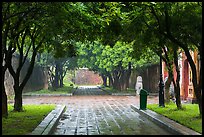 Tree-covered pathway, imperial citadel. Hue, Vietnam ( color)