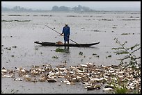 Duck herder, Thanh Toan. Hue, Vietnam ( color)