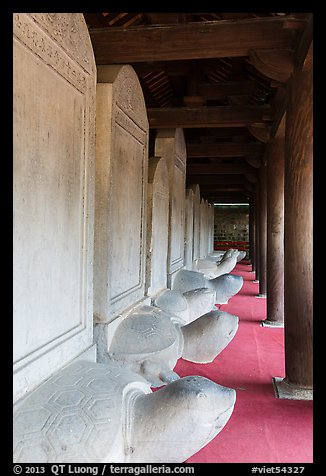 Row of stone turtles with stele backs, Temple of the Litterature. Hanoi, Vietnam (color)