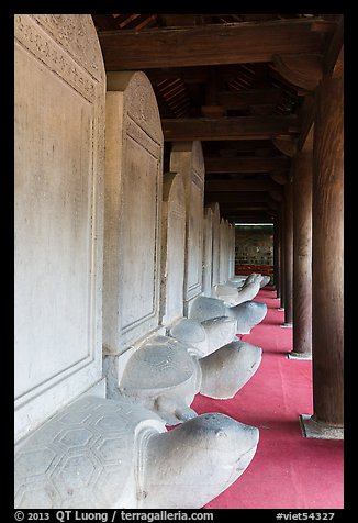 Row of stone turtles with stele backs, Temple of the Litterature. Hanoi, Vietnam