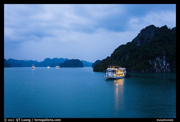 Tour boats at dawn. Halong Bay, Vietnam (color)