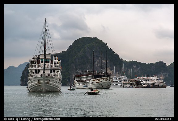 White tour boats. Halong Bay, Vietnam (color)