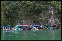 Vung Vieng fishing village. Halong Bay, Vietnam ( color)