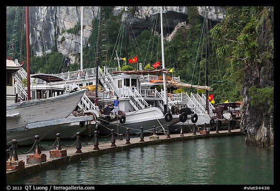 Tour boats at pier. Halong Bay, Vietnam (color)