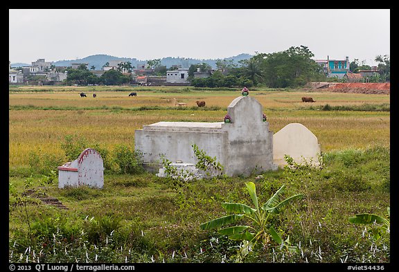 Tombs set amongst field. Vietnam