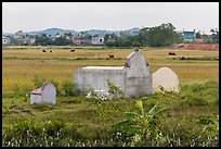 Tombs set amongst field. Vietnam (color)