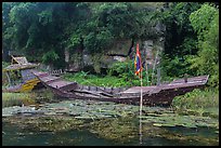 Sunken boats, Trang An. Ninh Binh,  Vietnam (color)