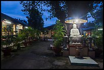 Buddha and banyan tree at dusk, Phung Son Pagoda, district 11. Ho Chi Minh City, Vietnam ( color)