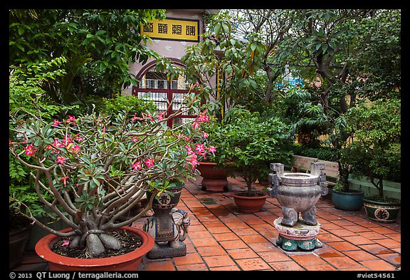 Tran Hung Dao temple gardens. Ho Chi Minh City, Vietnam (color)