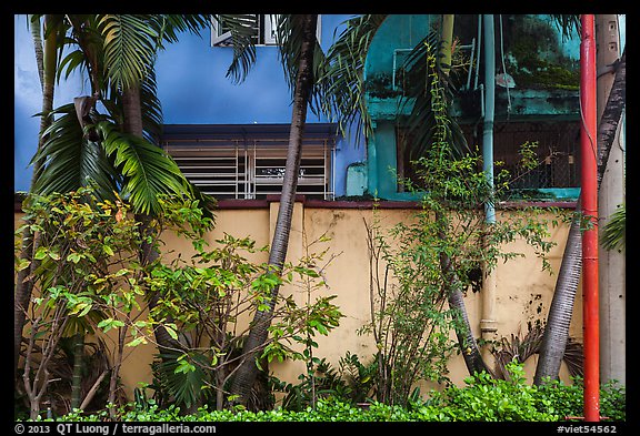 Trees and walls, Tran Hung Dao temple. Ho Chi Minh City, Vietnam (color)