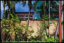 Trees and walls, Tran Hung Dao temple. Ho Chi Minh City, Vietnam (color)