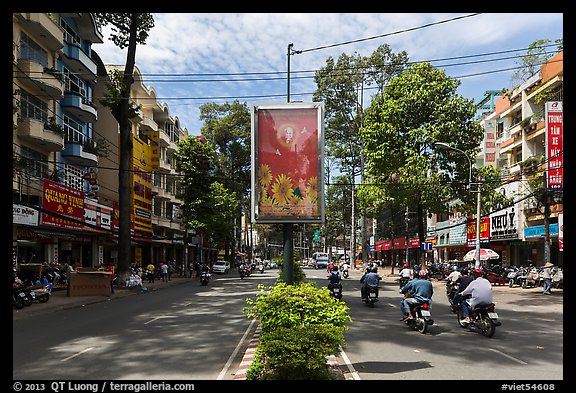 Leafy boulevard, district 5. Ho Chi Minh City, Vietnam (color)