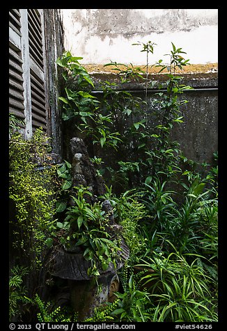 Lush balcony corner. Ho Chi Minh City, Vietnam (color)