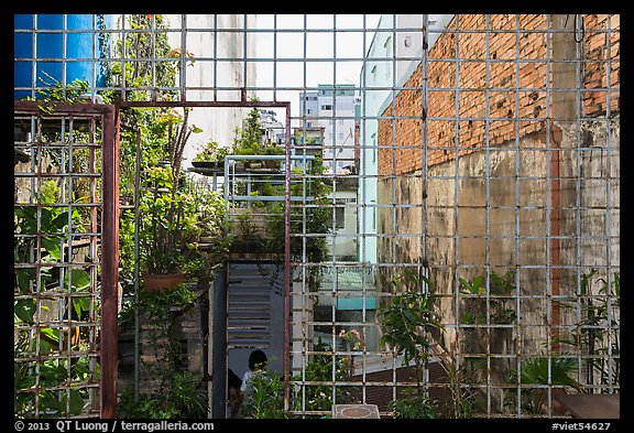 Rooftop garden. Ho Chi Minh City, Vietnam (color)