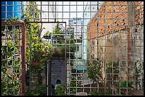 Rooftop garden. Ho Chi Minh City, Vietnam ( color)