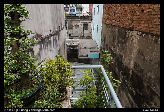 Potted plants on balcony garden. Ho Chi Minh City, Vietnam (color)
