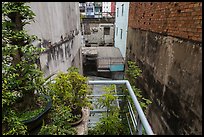 Potted plants on balcony garden. Ho Chi Minh City, Vietnam (color)