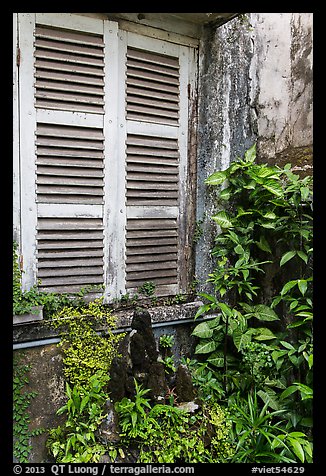 Plants and window shutters. Ho Chi Minh City, Vietnam (color)