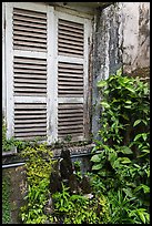 Plants and window shutters. Ho Chi Minh City, Vietnam (color)