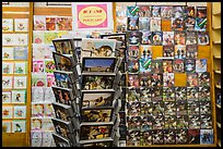 Postcard rack. Ho Chi Minh City, Vietnam (color)