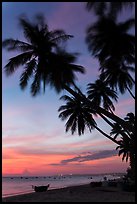 Beach at sunset with palm trees and coracle boats. Mui Ne, Vietnam (color)