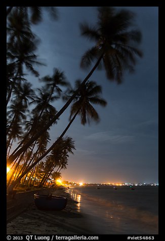 Beach at night with palm trees and coracle boat. Mui Ne, Vietnam