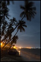 Beach at night with palm trees and coracle boat. Mui Ne, Vietnam (color)