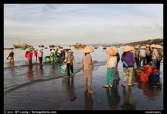 Group on beach with paniers of freshly caught shells, early morning. Mui Ne, Vietnam (color)