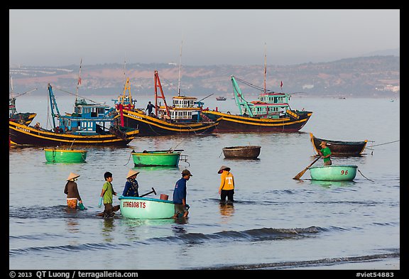 Fishermen use coracle boats to bring back catch from fishing boats. Mui Ne, Vietnam (color)