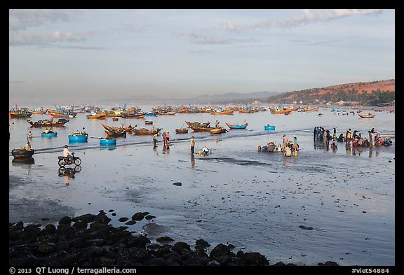 Beach and fishing fleet, early morning. Mui Ne, Vietnam