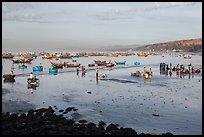 Beach and fishing fleet, early morning. Mui Ne, Vietnam ( color)