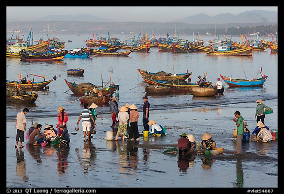 Fishermen and fish buyers on beach, early morning. Mui Ne, Vietnam